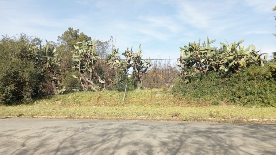 0 Bedroom Property for Sale in Somerset East Eastern Cape
